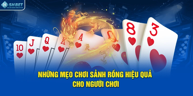 Những mẹo chơi sảnh rồng hiệu quả cho người chơi