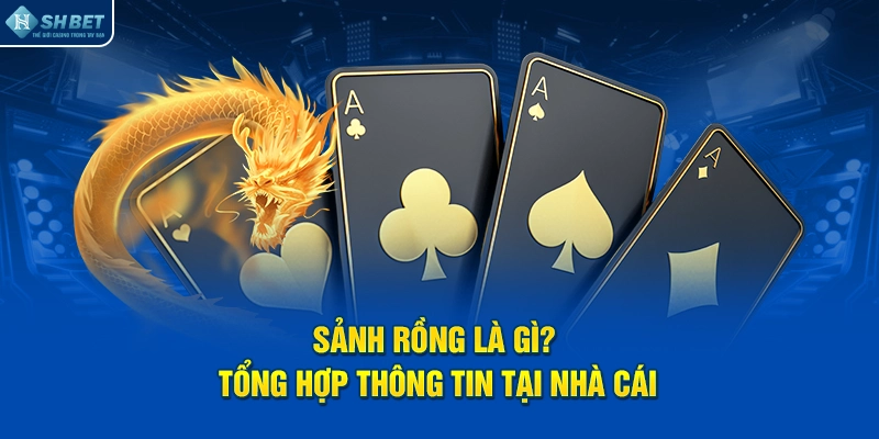 Sảnh Rồng Là Gì? Tổng Hợp Thông Tin Tại Nhà Cái SHBET