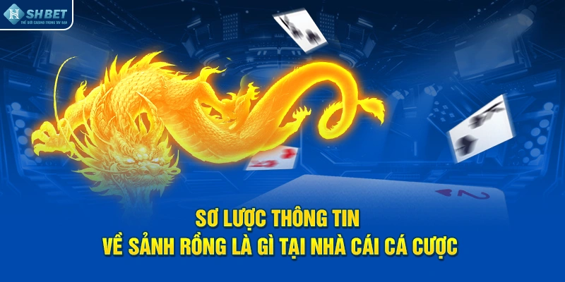 Sơ lược thông tin về sảnh rồng là gì tại nhà cái cá cược